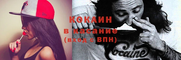 твердый Алексеевка