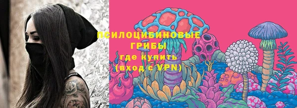 спайс Абаза