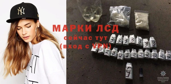 СК Алексин