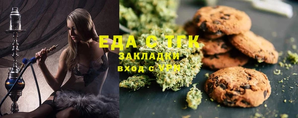 СК Алексин