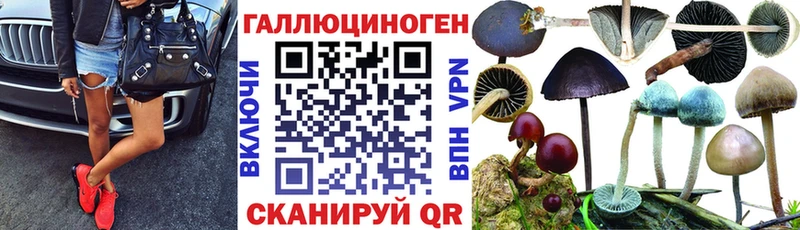 Псилоцибиновые грибы Magic Shrooms  площадка состав  Инта 